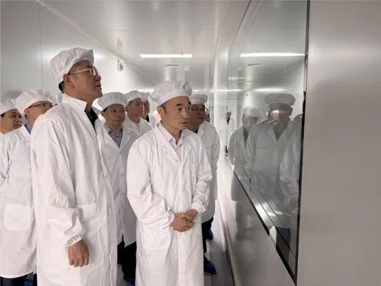 湖南省藥監(jiān)局局長歐陽志剛帶隊調研湖南派格蘭藥業(yè)